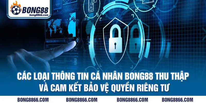 Các loại thông tin cá nhân Bong88 thu thập và cam kết bảo vệ quyền riêng tư